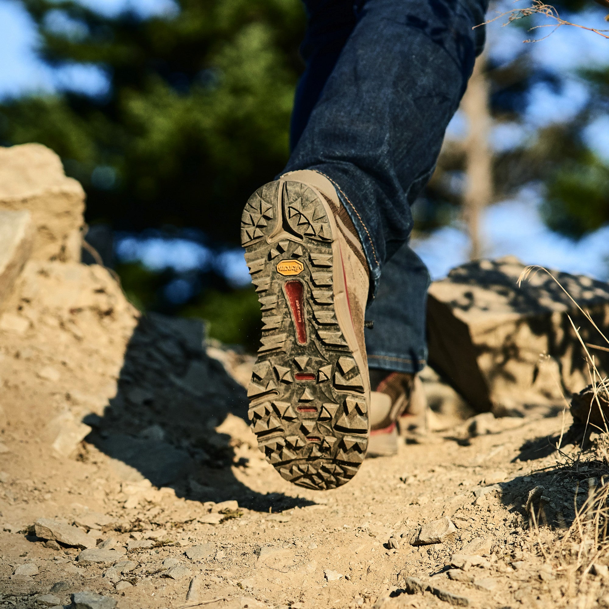 Danner gtx clearance boots