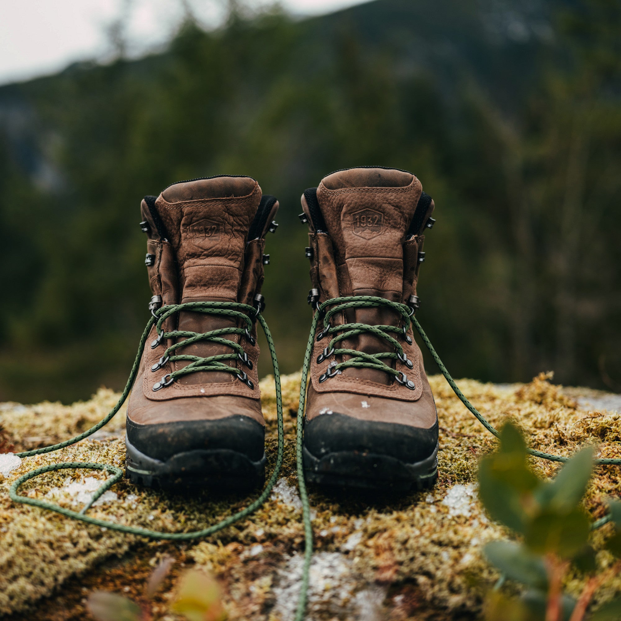 Crane men's hot sale walking boots